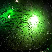 LED水中釣りライトルアーフィッシュファインダーランプはエビイカライトを引き付けます