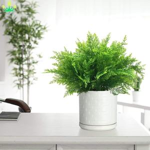 Stelo di Pino Artificiale <span class=keywords><strong>in</strong></span> Plastica con Felce e Erba per Decorazione Fai-da-Te di Vasi, Casa, Portico, Giardino, Feste di Ringraziamento, Vacanze e Natale - Product Image 6