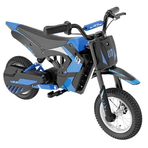 Folding Kid Dirt Bike 20 Inch Battery 36V Ebike 2000W Dual Hub Motor Foldable Electric Bike For Sale