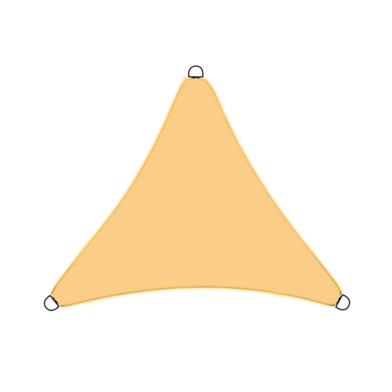 6 Rectangle