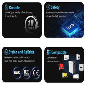 8000 מחזורים 10 שנים אחריות 15kwh lifepo4 סוללת ליתיום סולרית 51.2v 314ah אחסון אנרגיה ביתית יכול - Product Image 5