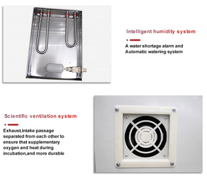 264 Trứng Công Suất Hoàn Toàn Tự Động Lồng Ấp, Trứng Setter Và <span class=keywords><strong>Hatcher</strong></span> Trong Một Máy - Product Image 6
