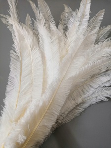 Fabricante de plumas de avestruz de 18-26 pulgadas personalizadas de alta calidad de fábrica <span class=keywords><strong>Nandu</strong></span> de avestruz para decoración de fiestas - Product Image 2