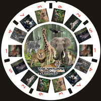Vente chaude 3D Image Viewer Personnalisé Bobines Jouet Éducatif Télescope Forme Aventure Jouets Photo Viewer pour Enfants