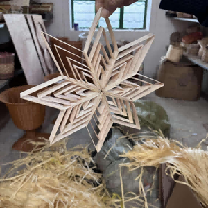 Produits de la noix de coco : noix de coco fraîche, noix de coco en grains, noix de coco en morceaux, noix de coco en vrac - Product Image 6