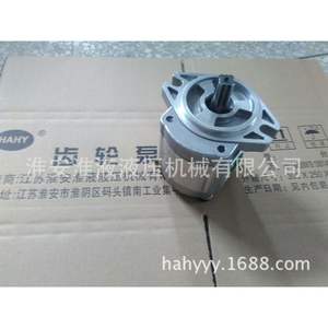 Pompe à palettes CBK1004/1006/1008/1010/1012/1016/1025/1025-B2FR, état neuf - Product Image 2