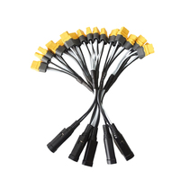 Câble de chargeur de batterie personnalisé Amass XT30 XT60 XT90 avec connecteurs mâle et femelle, faisceau de câbles assemblé