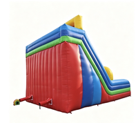 Toboggan gonflable commercial double piste Fun Bounce DS006 avec entrée en arche pour enfants, idéal pour les événements de parcs d'attractions