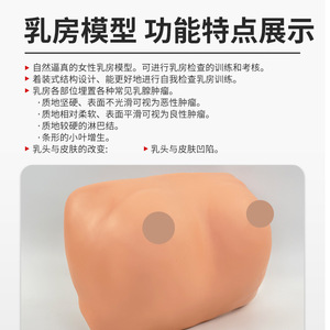 Modelo portátil para entrenamiento y examen de senos; práctica didáctica sobre patología mamaria femenina; modelo para autoexamen y cuidado. - Product Image 5