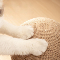 Nouvelle arrivée R en forme résistant à l'usure meulage patte jouet planche à gratter en bois chat grattoir balle chat arbres et grattoir