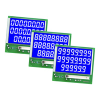 Écrans LCD à 7 segments haute visibilité, fabricant de modules LCD, rétroéclairage négatif HTN pour les instruments de distributeurs de carburant