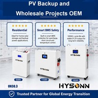 Batterie lithium domestique Hysonn murale ESS 51,2 V à chimie LFP avec BMS intelligent LCD pour la sauvegarde photovoltaïque et les projets de vente en gros OEM