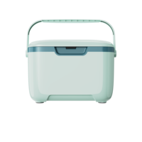 Glacière isotherme en plastique 10qt16qt personnalisée OEM/ODM pour pique-nique et camping, fabriquée en Chine
