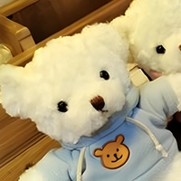 Ours en peluche blanc avec capuche, jouet en peluche doux, poupée en peluche pour cadeau d'anniversaire