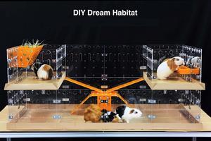 Étagères d'exposition extensibles en lucite, cage en acrylique DIY de grande taille 4x2 pieds pour habitat des cochons d'Inde - Product Image 5