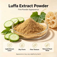 Fabriekslevering op maat gemaakte OEM Luffa-extractpoeder, natuurlijk plantaardig extract, groothandel in bulk voor voedingsmiddelen en nutraceutica grondstoffen