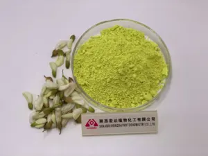 Di elevata purezza all'ingrosso pura Natura pianta quercetina 98% Sophora Japonica estratto di quercetina in polvere - Product Image 4