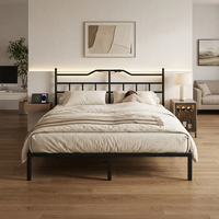 Cadre de lit en fer de qualité supérieure au design moderne avec éclairage LED RGB, bande de lit pliable en fer et télécommande