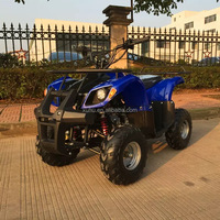 Quad mini tout-terrain 150CC/200CC/250CC pour enfants, en acier inoxydable, transmission par chaîne ABS