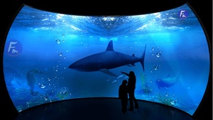 Expérience immersive VR p0.9 p1.25 affichage Led d'intérieur affichage d'écran Led souple et Flexible pour centre commercial haut de gamme - Product Image 6