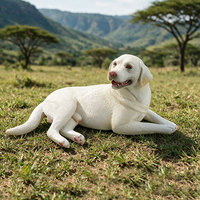 Modèle d'animal de compagnie en PVC massif, simulation transfrontalière, chiot Labrador, jouet éducatif et cognitif, décoration de bureau, ornement à assembler