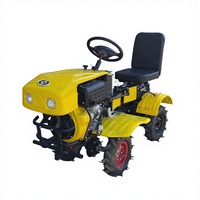 Mini Tractor Agrícola con Motor, Caja de Cambios, Rodamientos y Engranajes para Cultivo Multifuncional de Tierras Agrícolas