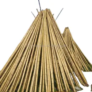 热!ZY-1003 竹竿以工厂便宜的价格销售，竹签热卖!