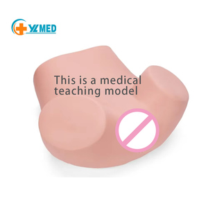 Modèle d'examen utérin complet de sciences médicales avancées, simulateur d'examen gynécologique haute fidélité pour la formation - Product Image 1