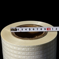 Film de laminage thermique souple OEM 25 microns en plastique transparent PET BOPP Photo 3D Lenticulaire pour ordinateur fourni