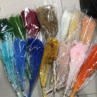 Gypsophile stabilisée 50g/paquet, vente en gros, artisanat floral séché écologique pour mariage, DIY, couleurs personnalisées, décorations d'intérieur