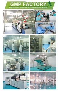 OEM ODM funghi capsule integratore a base di erbe supporto cervello Reishi Ghaga leoni criniera 20 in 1 integratore alimentare - Product Image 3