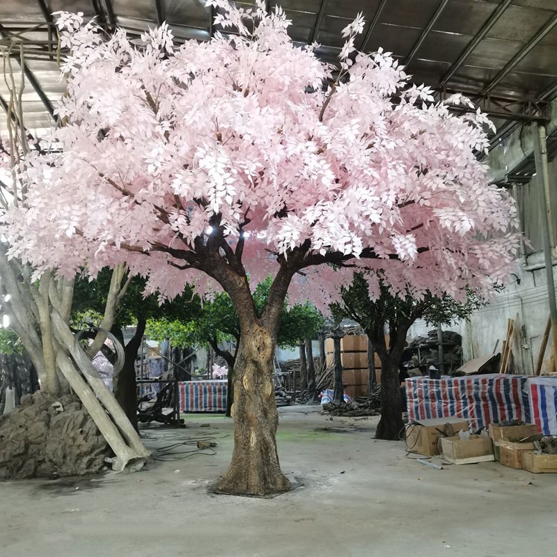 Albero di ciliegio di 6 metri