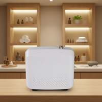 Humidificateur à ultrasons électrique décoratif de luxe, diffuseur d'aromathérapie à brume froide, 800 ml, commande tactile, Bluetooth, portable, cuisine