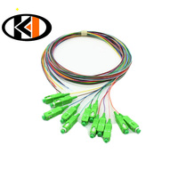 Pigtail Serat Optik Single Core SM/OM3 1m/1.5m/3m/5m dengan Konektor SC/UPC atau SC/APC untuk Aplikasi Jaringan