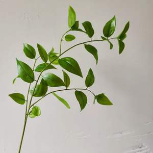 Plantas Artificiales de Látex Realistas con Diseño Nuevo, Relleno de Flores para Arreglos de Boda y Decoración de Interiores - Product Image 2