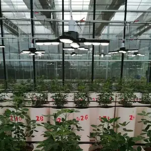 Sansi pabrik pasokan langsung LED spektrum penuh 60W tanaman tumbuh lampu dengan lensa SEMPURNA UNTUK dalam ruangan tanaman rumah kaca dengan kait