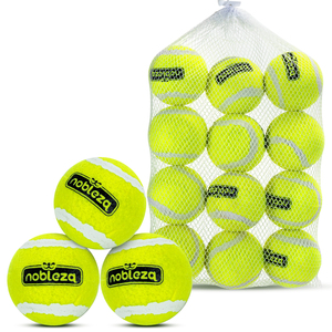 Nobleza 6 palline da Tennis in gomma naturale con palline da cane interattive in confezione, giocattoli da gioco per cani - Product Image 1