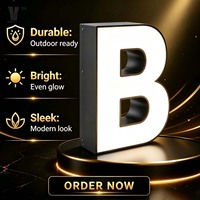 Enseigne lumineuse LED personnalisée, lettres de logo, enseignes 3D LED pour extérieur, enseignes de bureau, enseignes publicitaires, enseignes métalliques illuminées