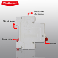 Disjoncteur différentiel électronique avec protection contre les surcharges et les fuites à la terre, modèle WSB1L-80, fournisseur chinois