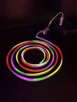Ruban LED néon RGB adressable ultra-fin 4x8mm, DC5V, indice de protection IP67, dimmable, en silicone pur