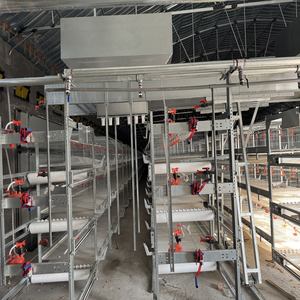 אוטומטי h-סוג הנחת תרנגולת סוללה ציוד כלוב מהימן של יצרן חי עבור enegal - Product Image 5