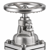 Vanne à opercule manuelle industrielle LUOKEFM Z45W-10P en acier inoxydable CF8 à tige montante, siège métallique, PN10, pour eau douce