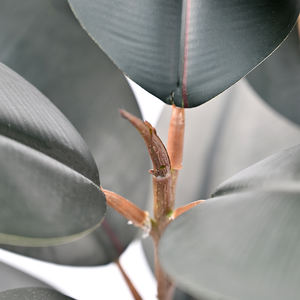 Arbre Artificiel en Caoutchouc de 95cm de Haut, Faux Fiddle Leaf Fig Plant, <span class=keywords><strong>Pot</strong></span> de Pépinière pour <span class=keywords><strong>Intérieur</strong></span> Extérieur Maison Bureau Décor - Product Image 2