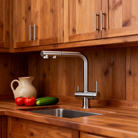 Robinet de cuisine robinet de luxe fileté d'eau robinet à 3 voies robinet de cuisine en nickel poli robinet à soda