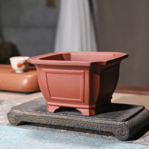 Wang Fei Pottery <b>Square</b> Purple Clay Flower <b>Pot</b> Wide Rim Desktop Bonsai Chinese Style - Product Image 3