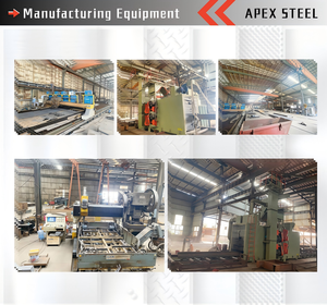 Apex Design moderno struttura in acciaio fabbrica costruzione di ristrutturazione fotovoltaico tetto capannone opere per vecchi progetti di costruzione di fabbrica - Product Image 6