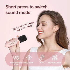 Mini draagbare audio-geïntegreerde microfoon voor thuiszang, karaoke, gezin, draadloze buitenluidsprekerlamp met microfoons - Product Image 4