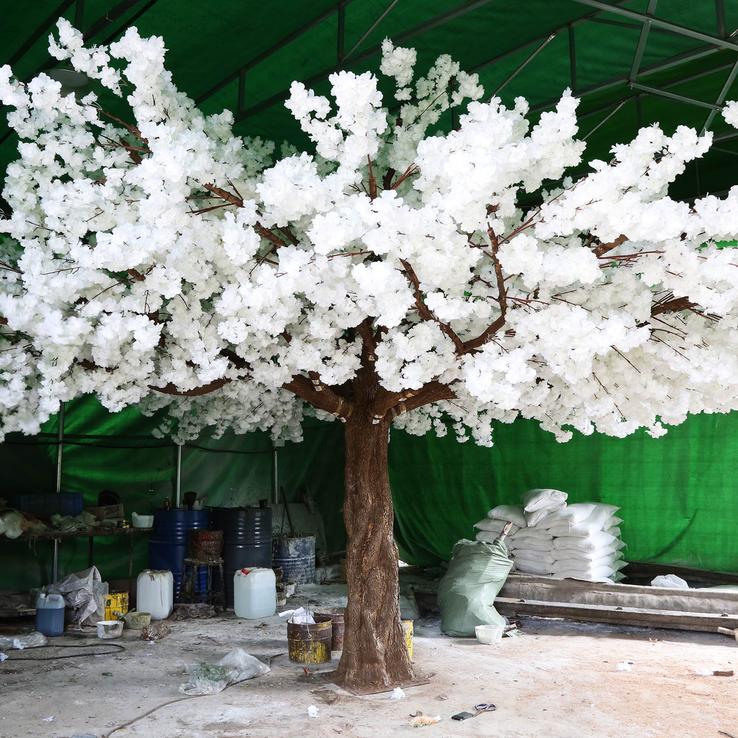 Bianco
