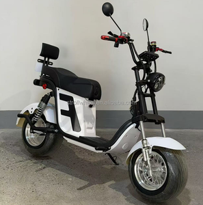 Guidon à 2 roues de 69 cm de long, scooter <span class=keywords><strong>électrique</strong></span> Citycoco 1000w, scooter <span class=keywords><strong>électrique</strong></span> 2000w - Product Image 5