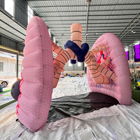Gonflable Poumons Cancer Nairbag Organes Humains Poumons Géants Modèle Inflatables Médical